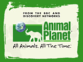 Animal Planet - Screensaver [Startup Screen]